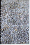 PVC Pellet